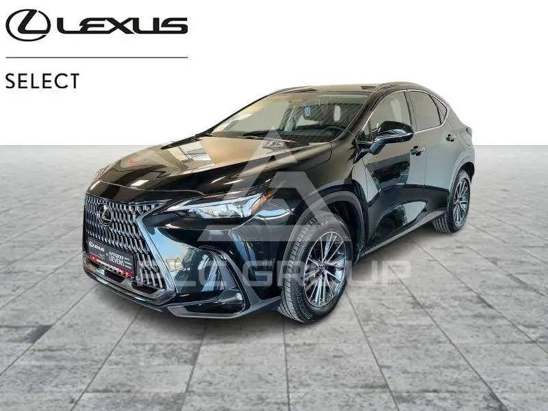 2026 Lexus NX250