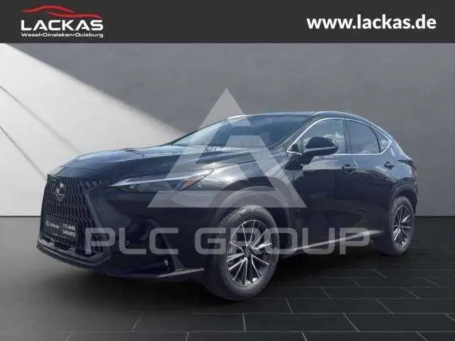 2026 Lexus NX250
