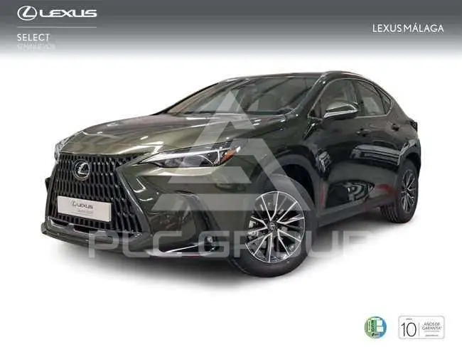 2026 Lexus NX250