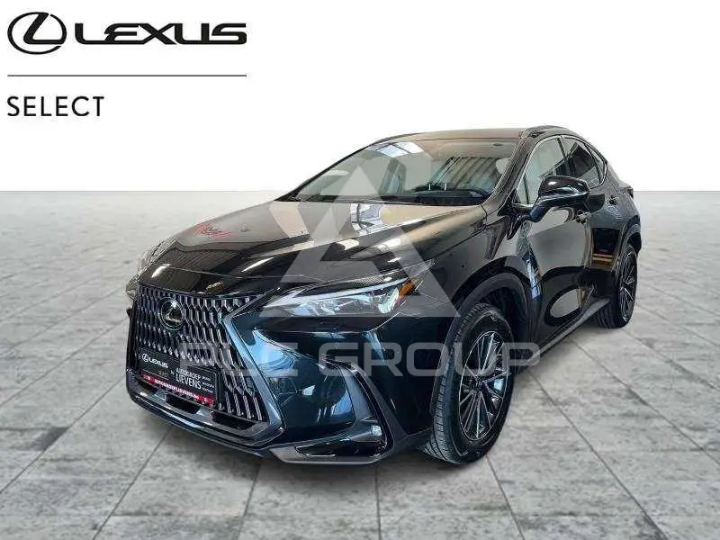 2026 Lexus NX250