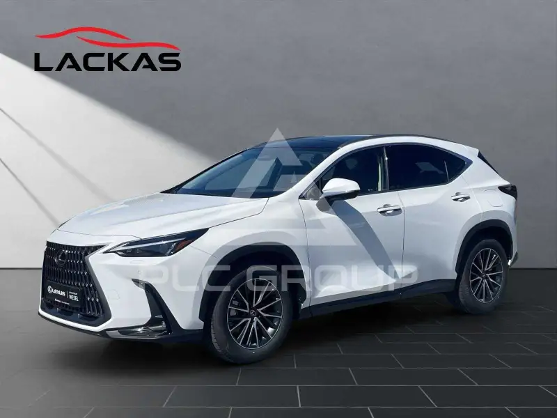 2026 Lexus NX450