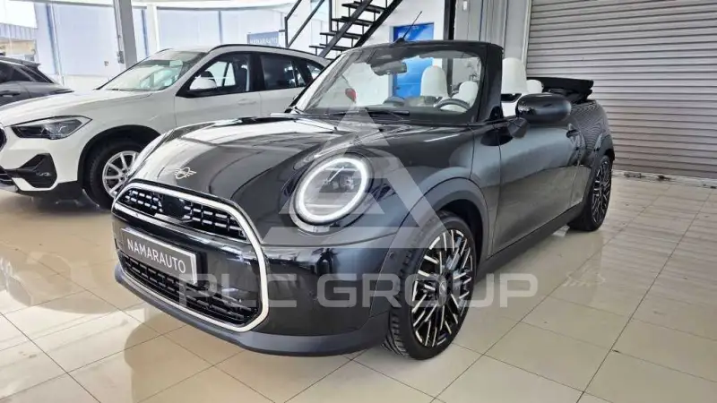 2026 Mini Unknown