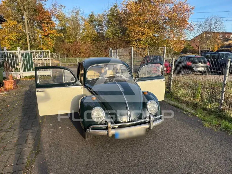 1953 Volkswagen BEETLE