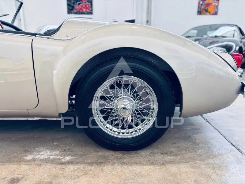 1956 MG 
