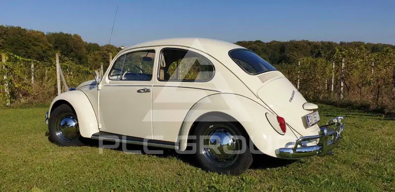 1967 Volkswagen BEETLE