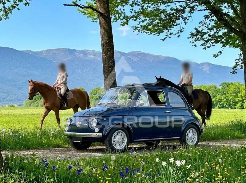 1968 Fiat 500