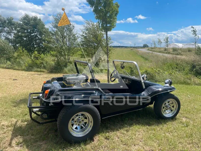 1969 Volkswagen Buggy