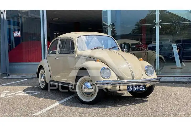1969 Volkswagen BEETLE