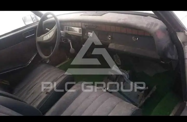 1971 Peugeot 304