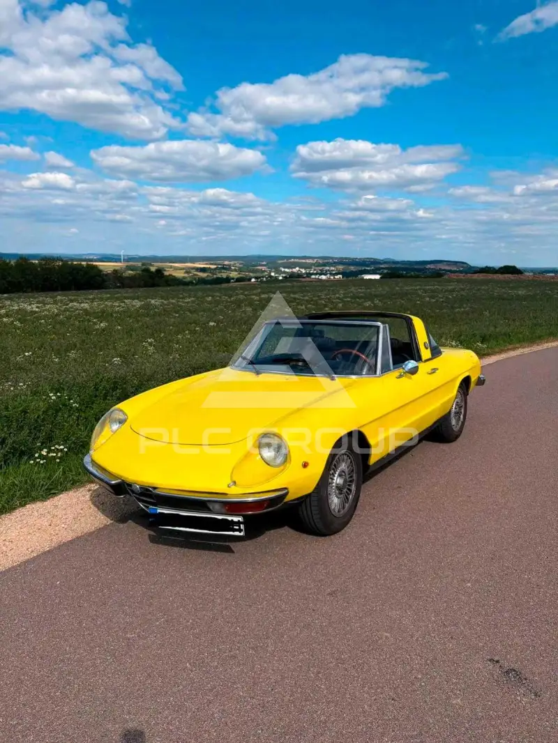 1973 Alfa Romeo Spider