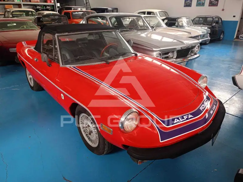1978 Alfa Romeo Spider
