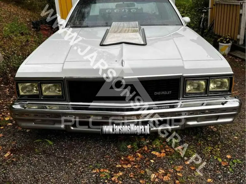 1979 Chevrolet CAPRICE