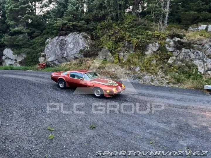 1979 Pontiac FIREBIRD