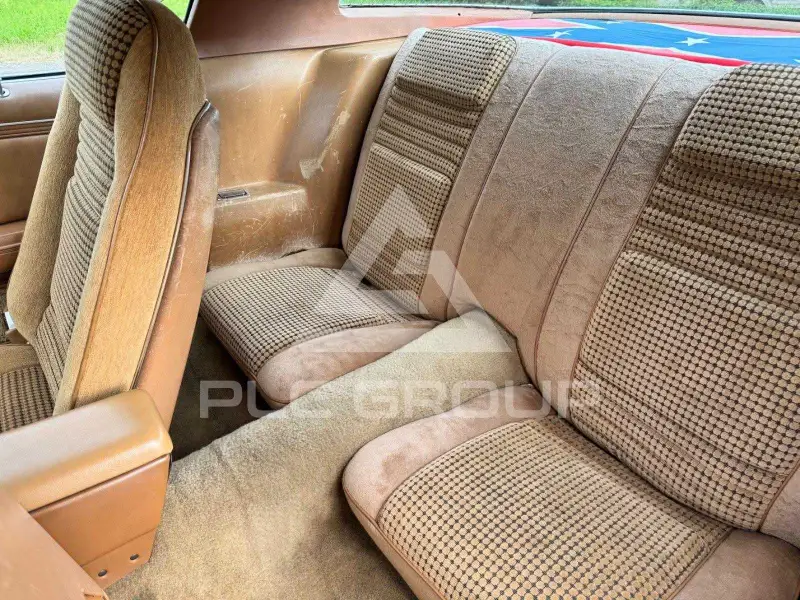 1979 Pontiac FIREBIRD