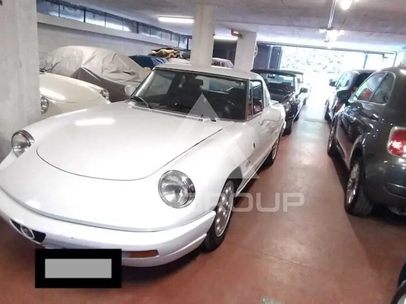 1979 Alfa Romeo Spider