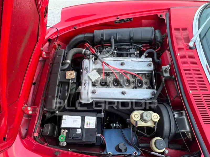 1979 Alfa Romeo Spider