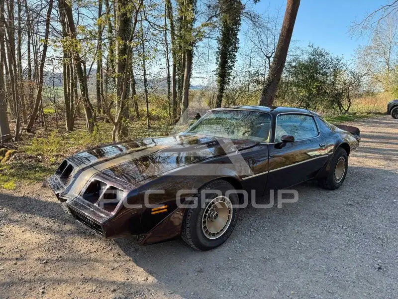 1980 Pontiac TRANS