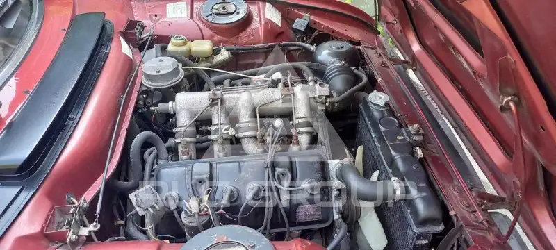 1980 Peugeot 504