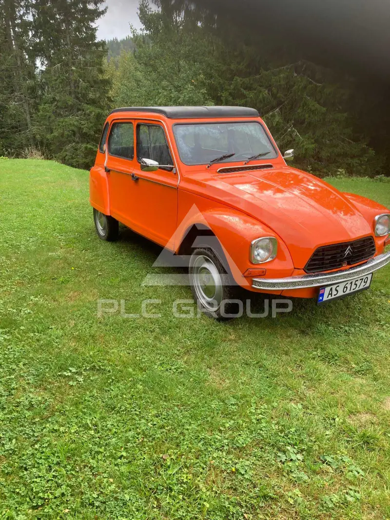 1980 Citroen Dyane