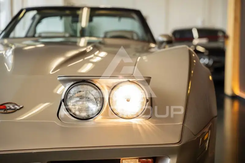 1981 Chevrolet Corvette