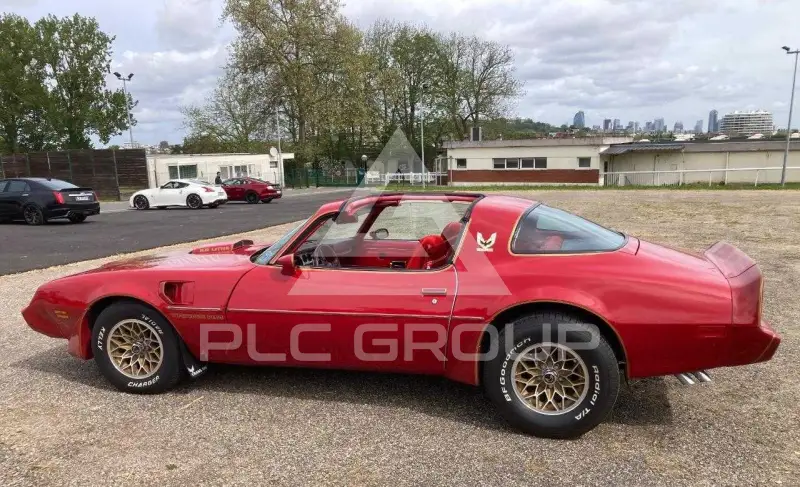 1981 Pontiac FIREBIRD