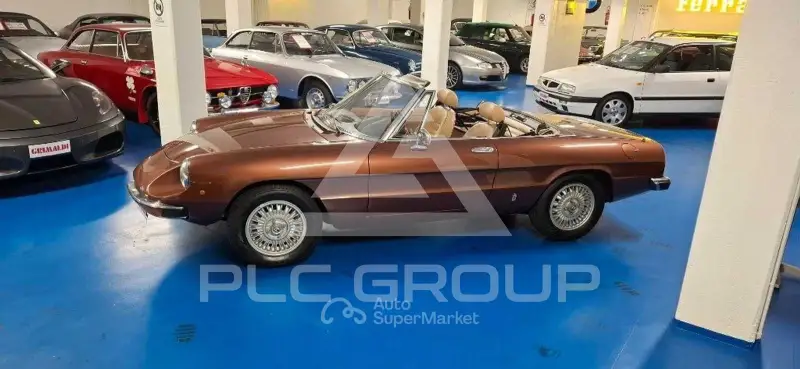 1981 Alfa Romeo Spider