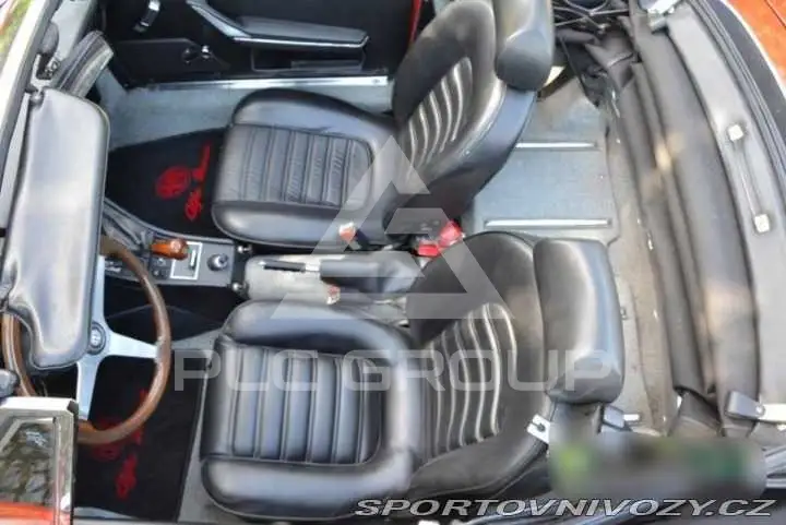 1981 Alfa Romeo Spider