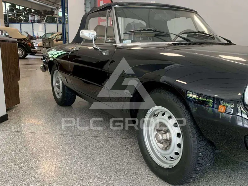 1981 Alfa Romeo Spider