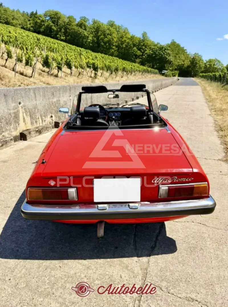 1981 Alfa Romeo Spider
