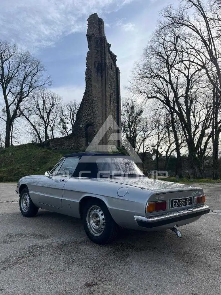 1982 Alfa Romeo Spider
