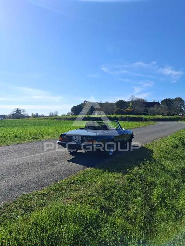 1982 Alfa Romeo Spider