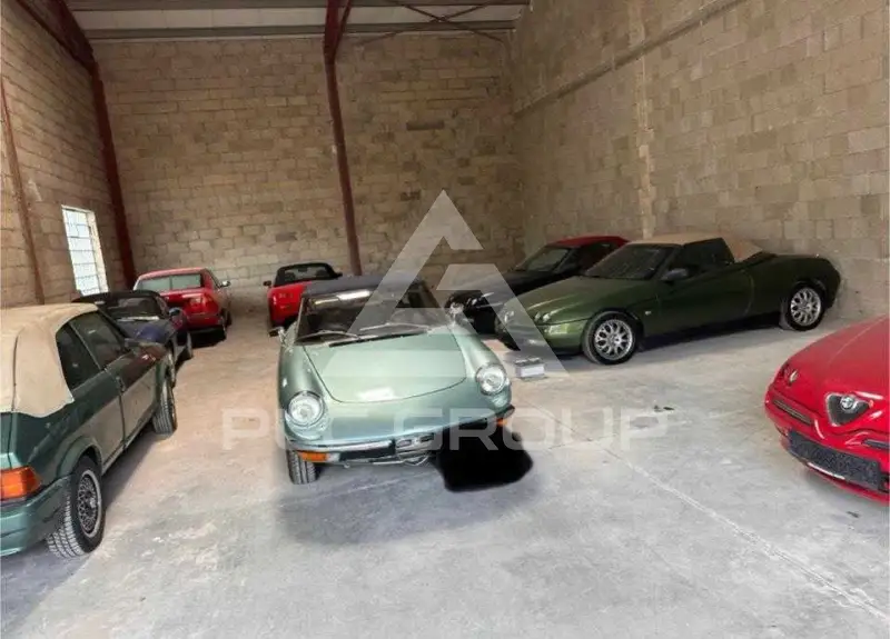 1982 Alfa Romeo Spider