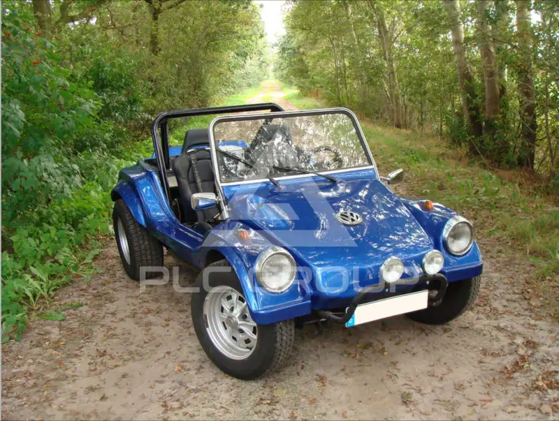 1982 Volkswagen Buggy