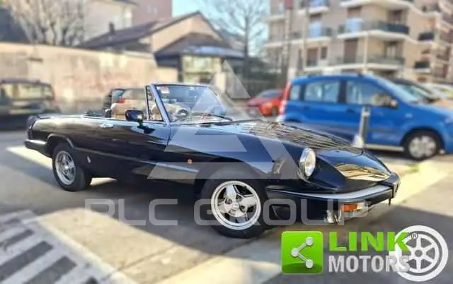 1984 Alfa Romeo Spider