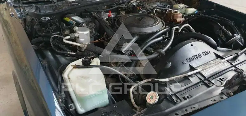 1985 Pontiac PARISIENNE
