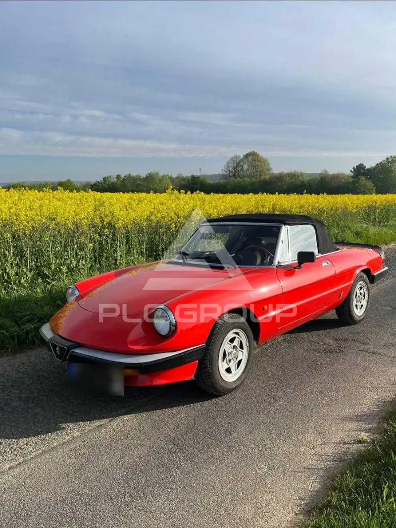 1985 Alfa Romeo Spider