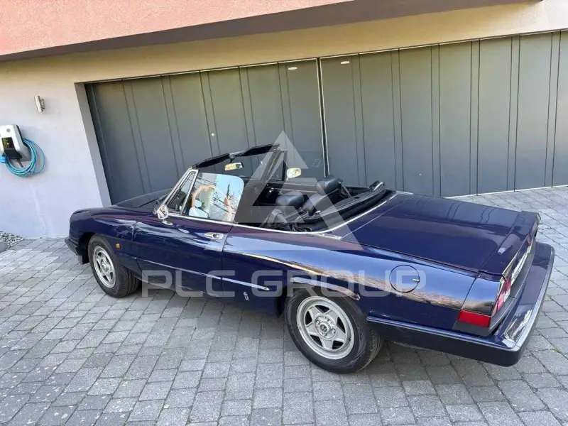 1985 Alfa Romeo Spider
