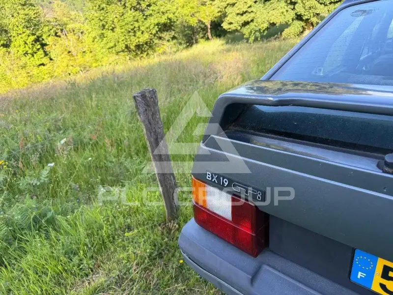 1989 Citroen BX