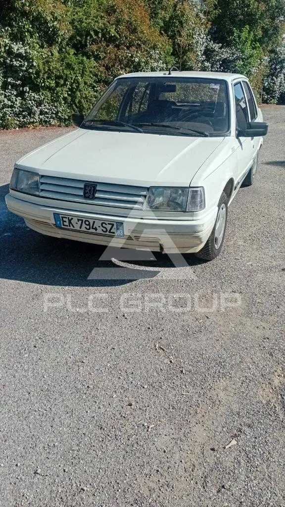 1992 Peugeot 309