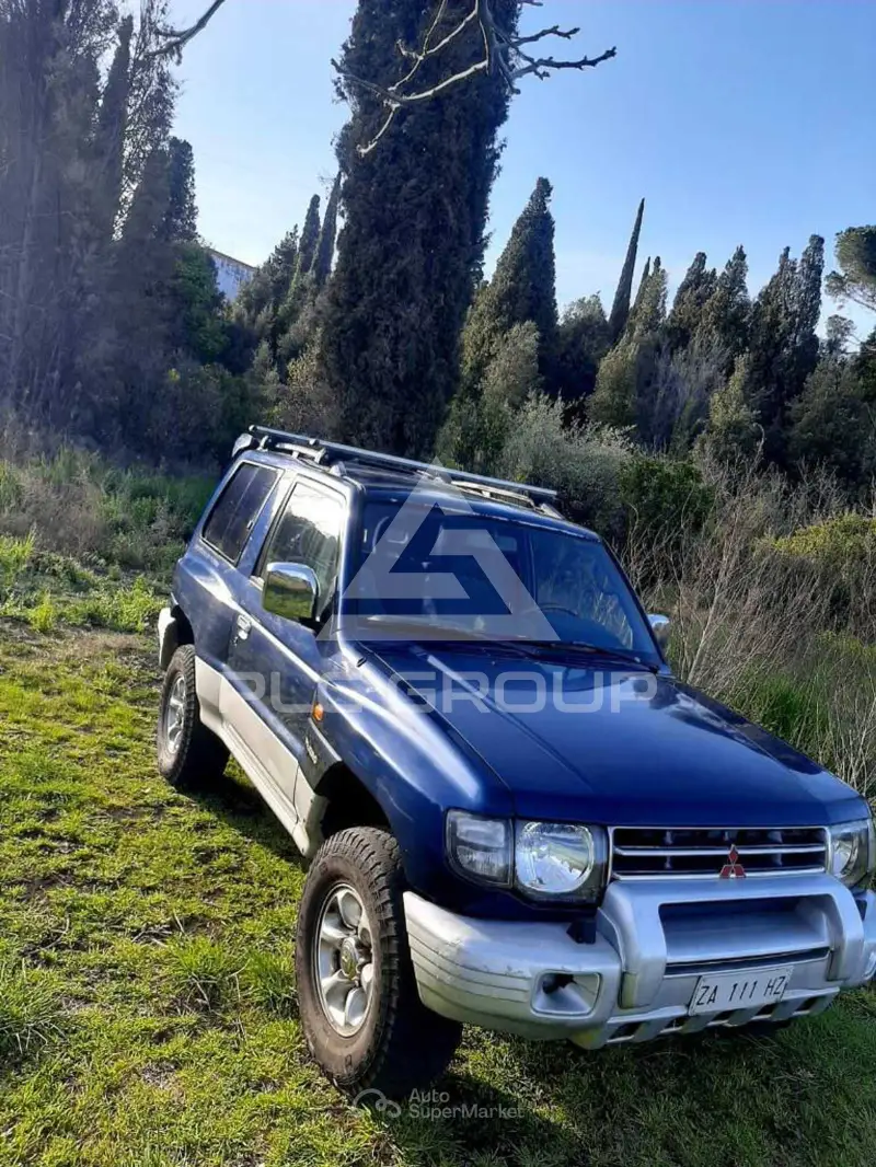 1999 Mitsubishi PAJARO