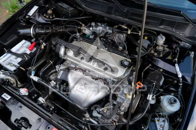 1999 Honda Accord