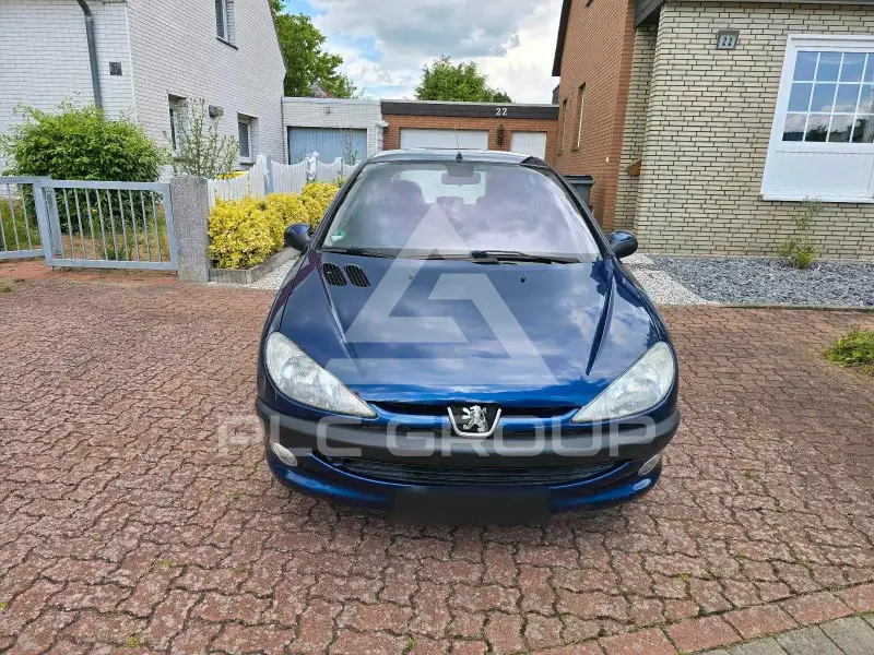 2002 Peugeot 206