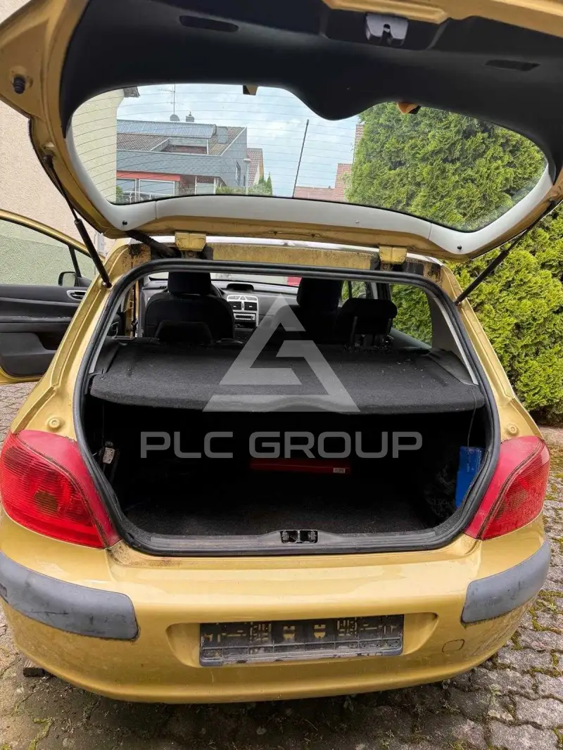 2002 Peugeot 307