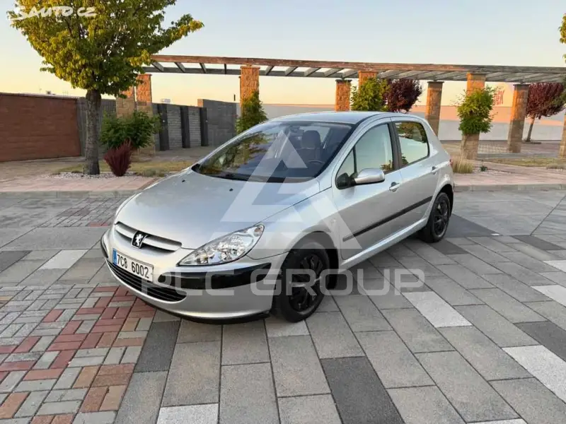 2002 Peugeot 307