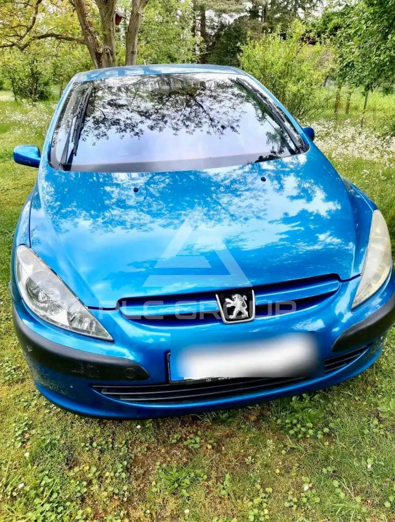 2002 Peugeot 307