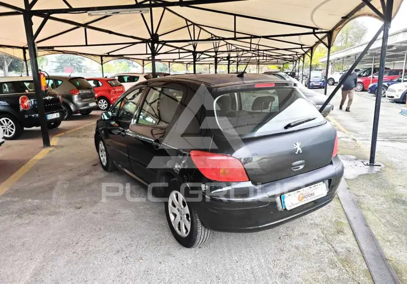 2002 Peugeot 307