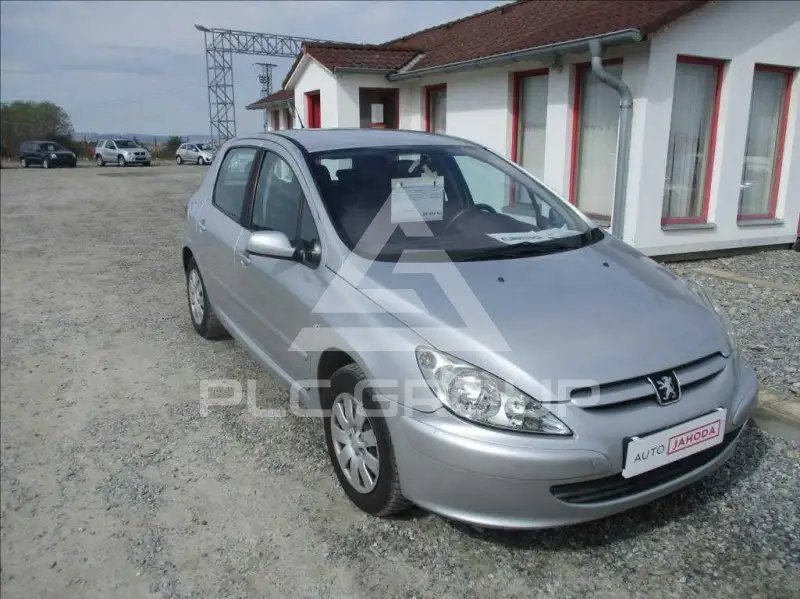 2002 Peugeot 307
