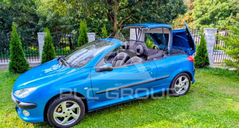 2002 Peugeot 206
