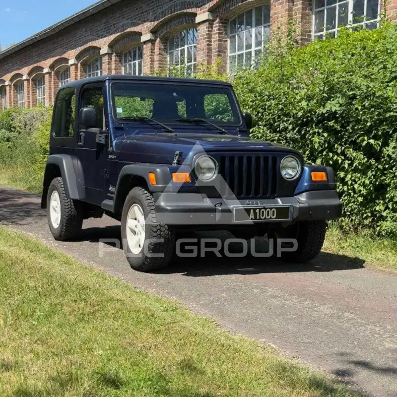 2003 Jeep WRANGLER