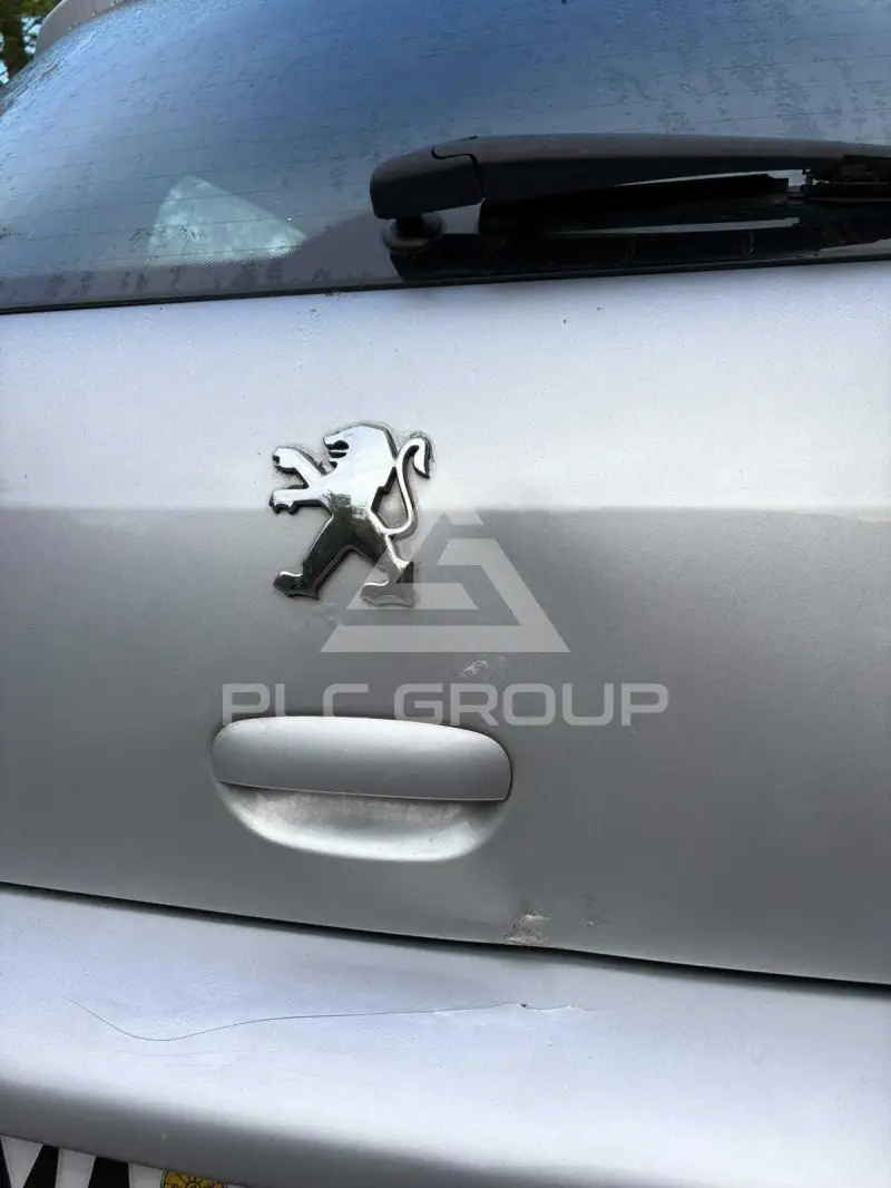 2003 Peugeot 307